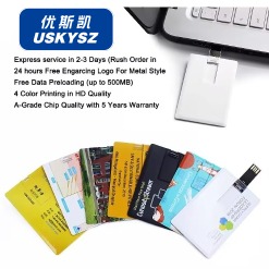 logo Plastic Credit Card Usb Pendrive