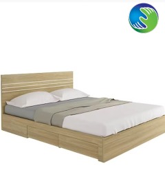 Modern Wood Double Bed with 2 Drawers